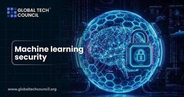 Machine Learning Security