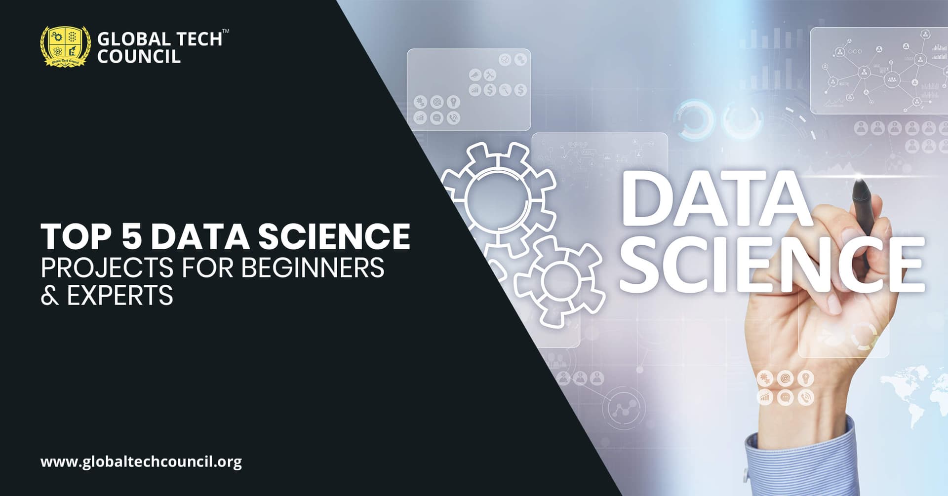 Top 5 Data Science Projects For Beginners & Experts