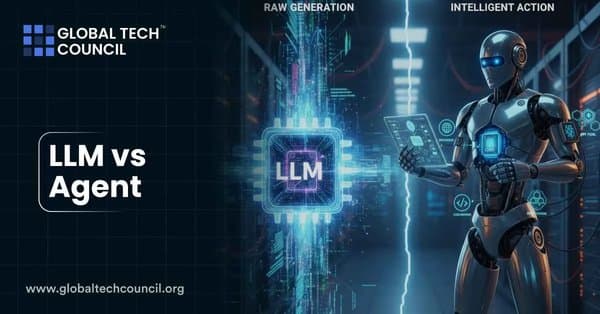 LLM vs Agent