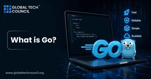 What is Go?
