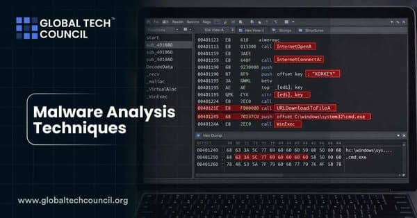Malware Analysis Techniques