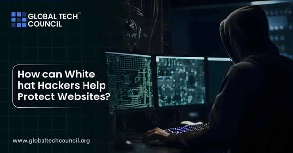 How can White hat Hackers Help Protect Websites?