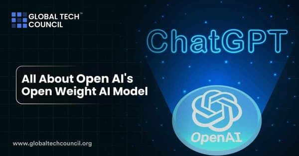 All About Open AI's Open Weight AI Model