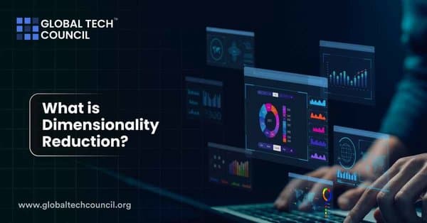 What is Dimensionality Reduction_