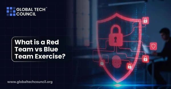 What is a Red Team vs Blue Team Exercise?