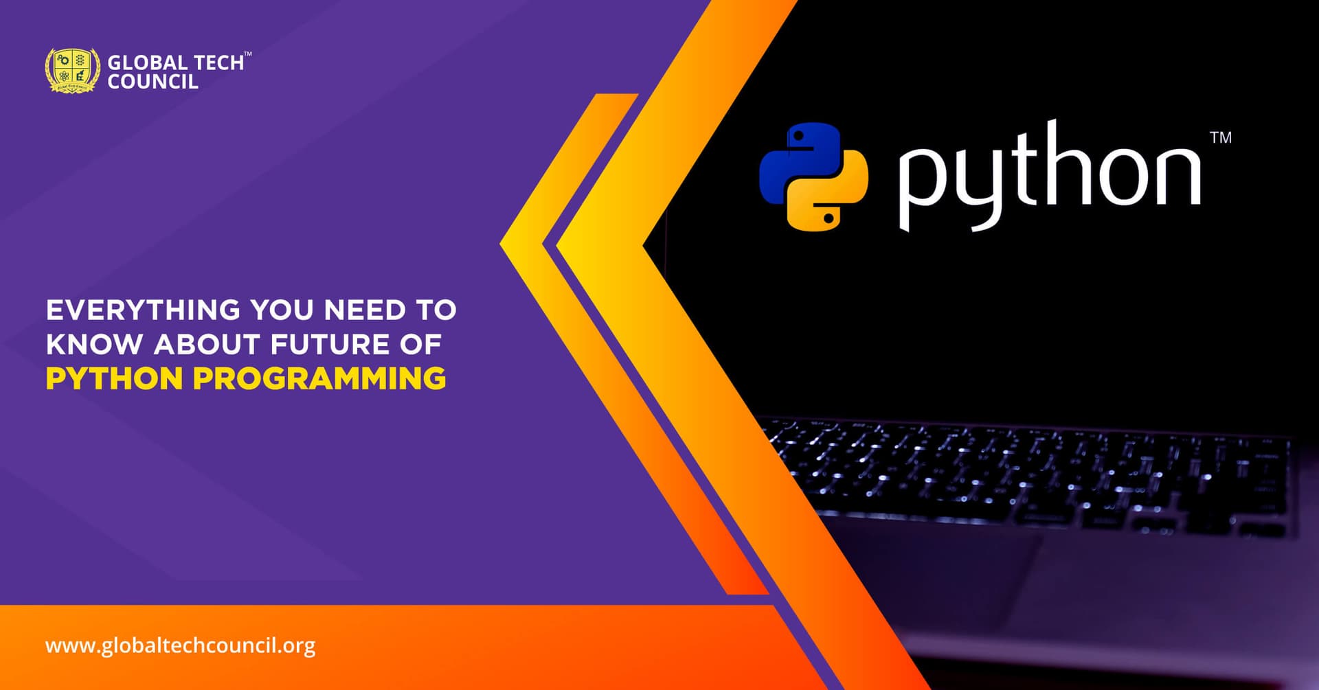 Everything-You-Need-to-Know-About-Future-of-Python-Programming