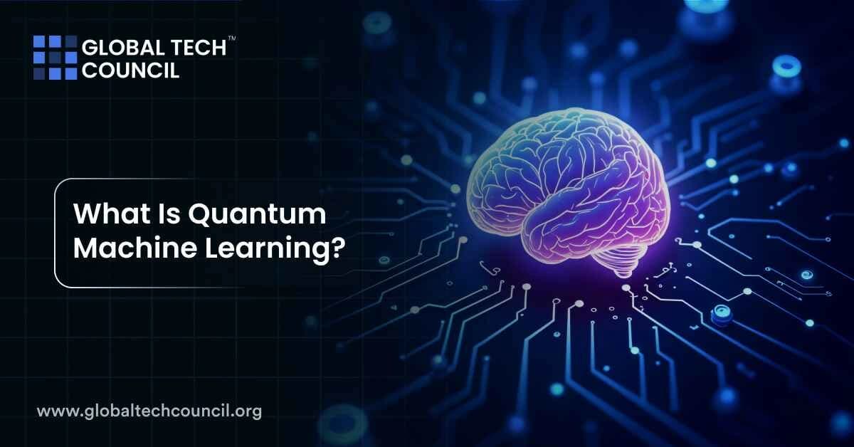What Is Quantum Machine Learning?