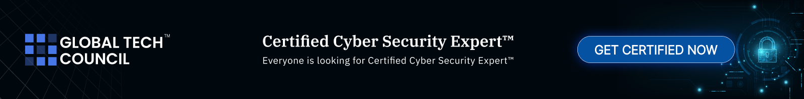 Certified Cyber Security Expert Strip