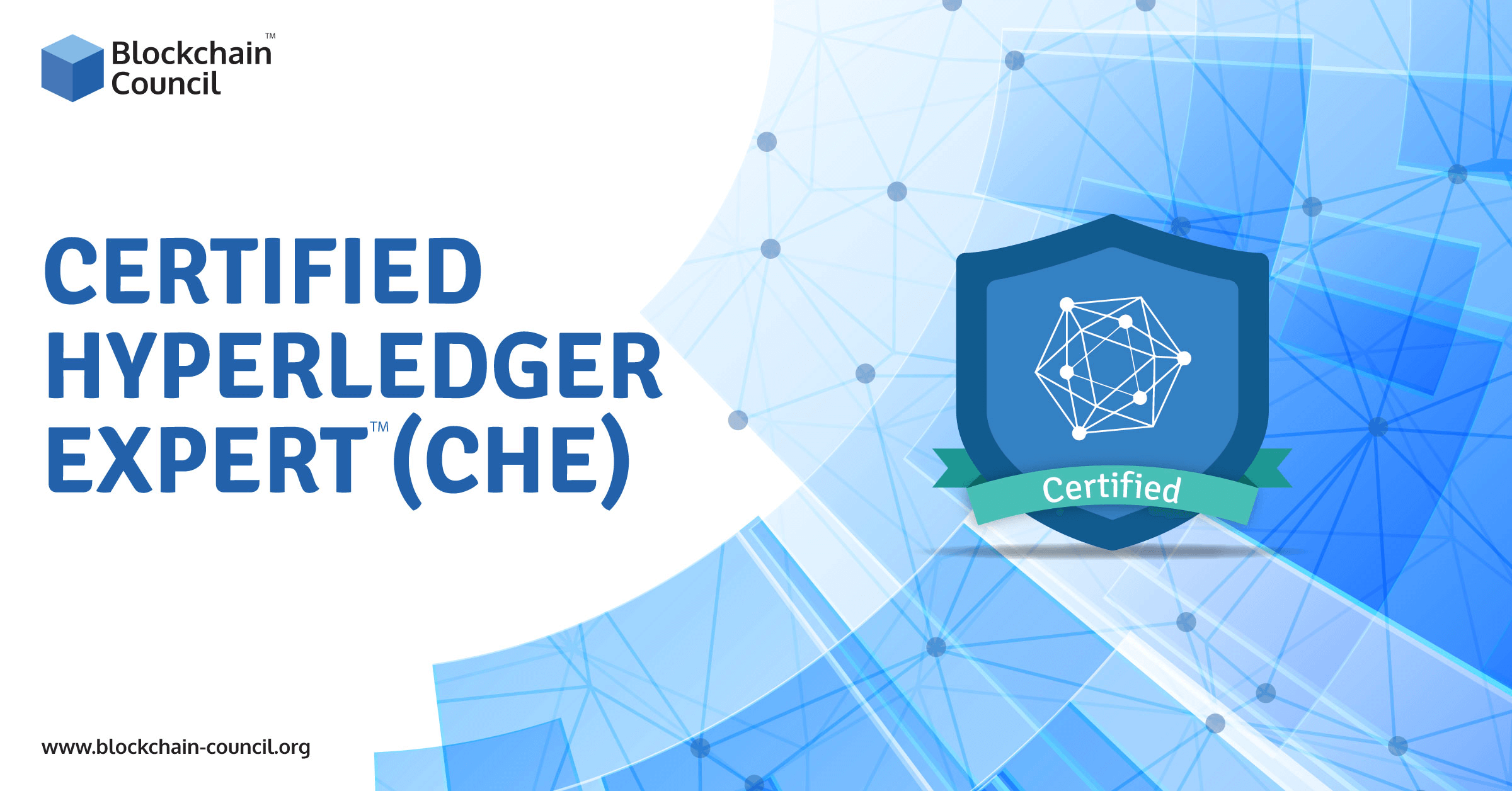 CHE-expert-all