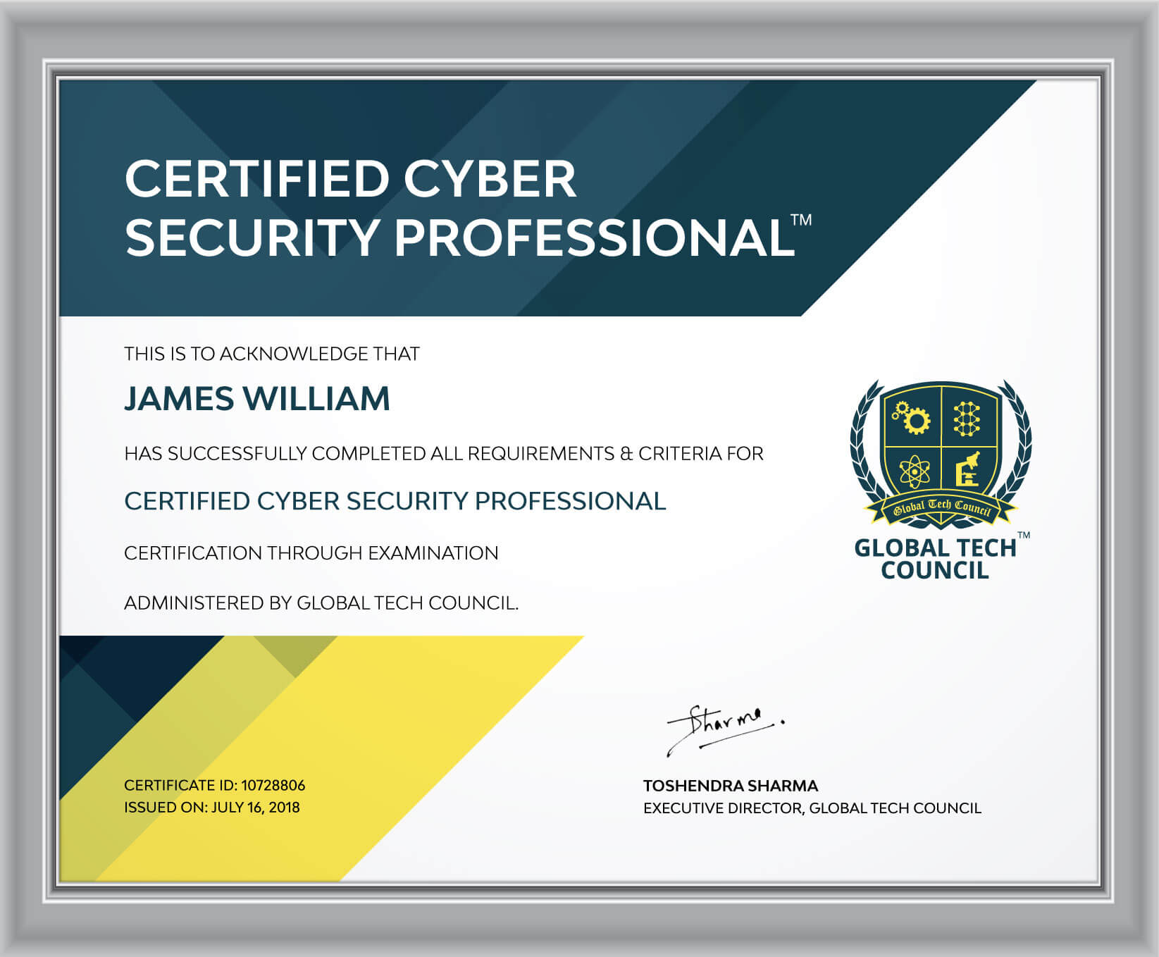 Certified-Cyber-Security-Professional-Frame