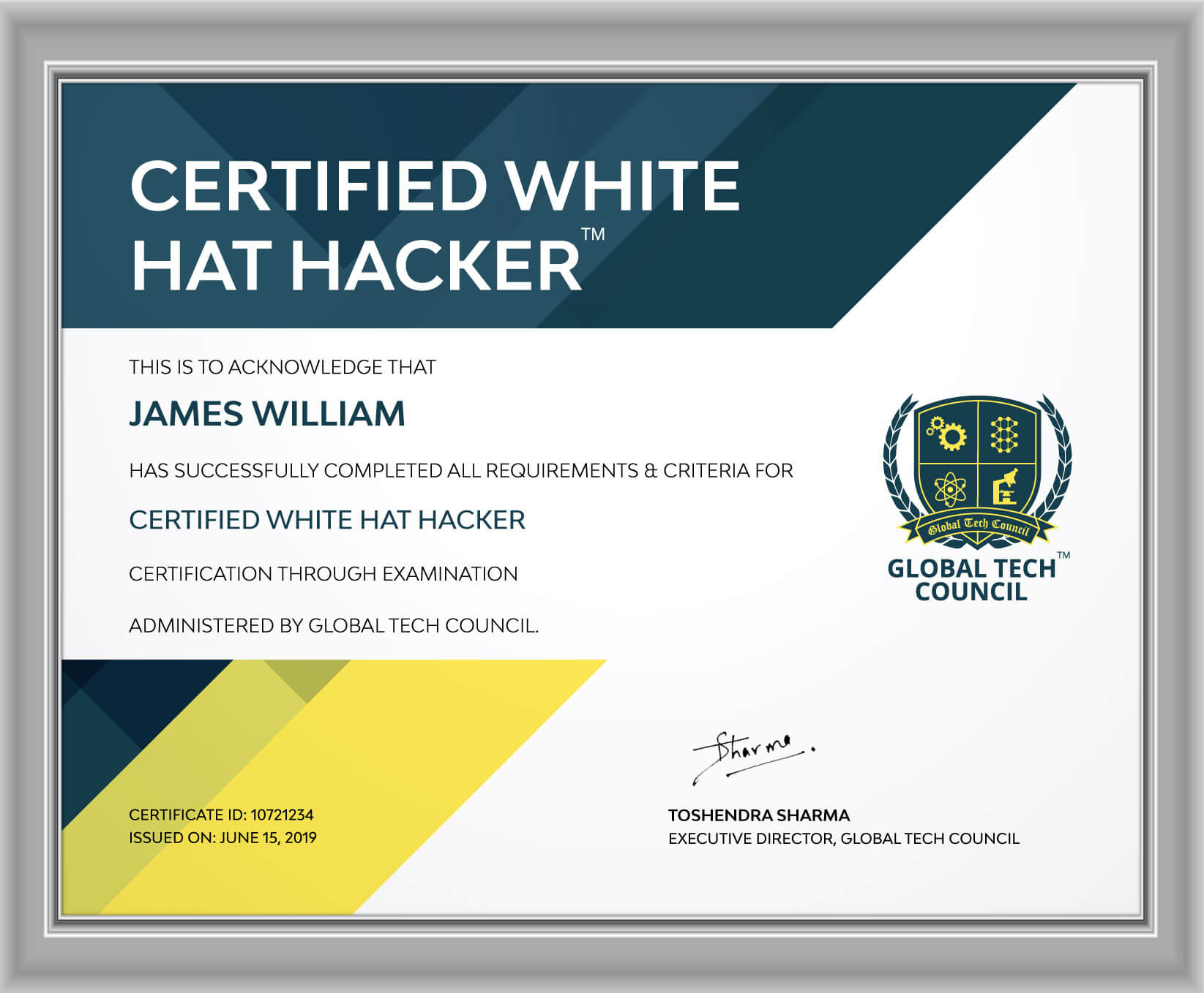 cyber security ethical hacking certification, cyber security training certification, white hat hacker training