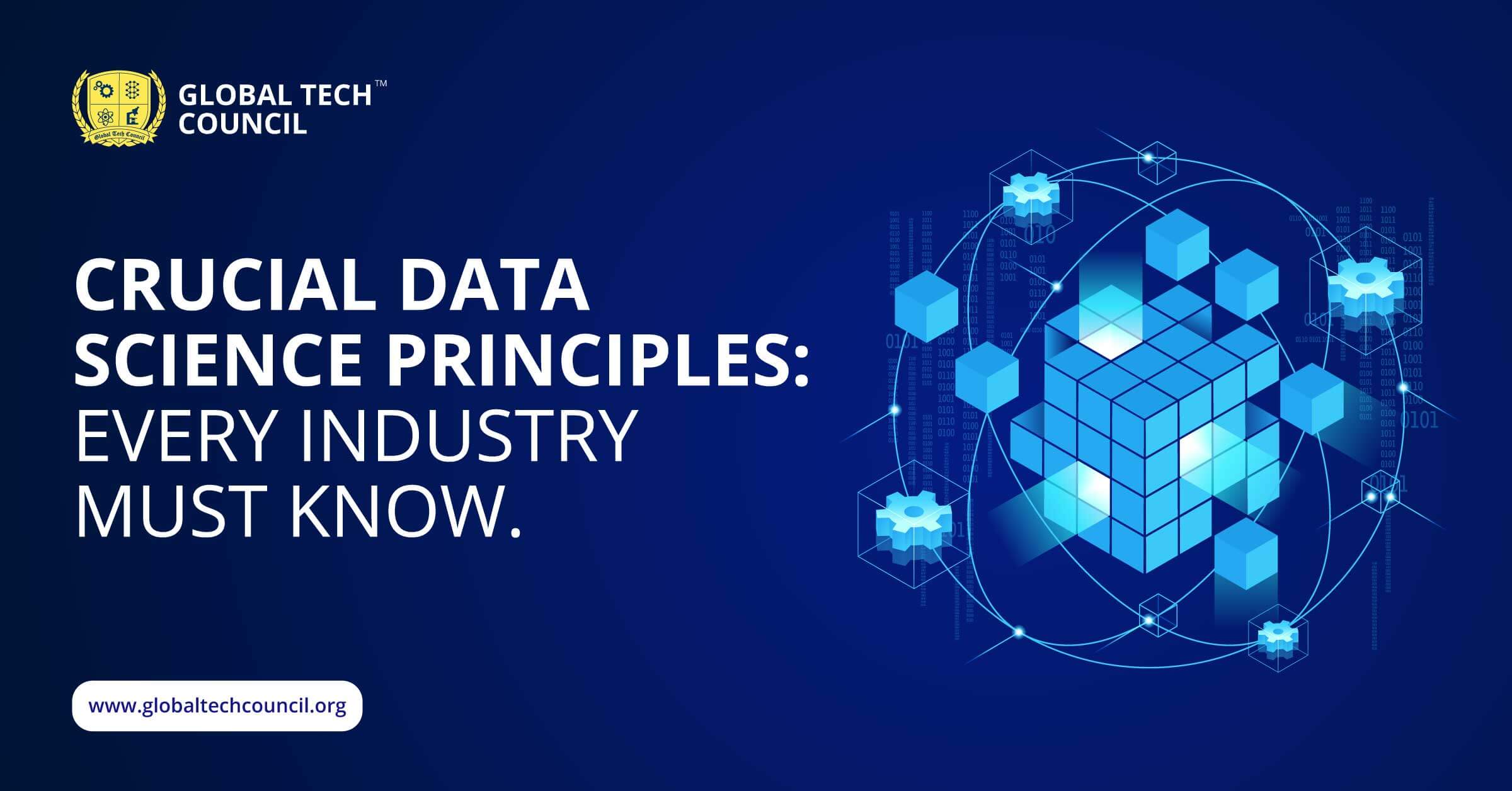 Crucial-Data-Science-Principles--Every-Industry-must-know