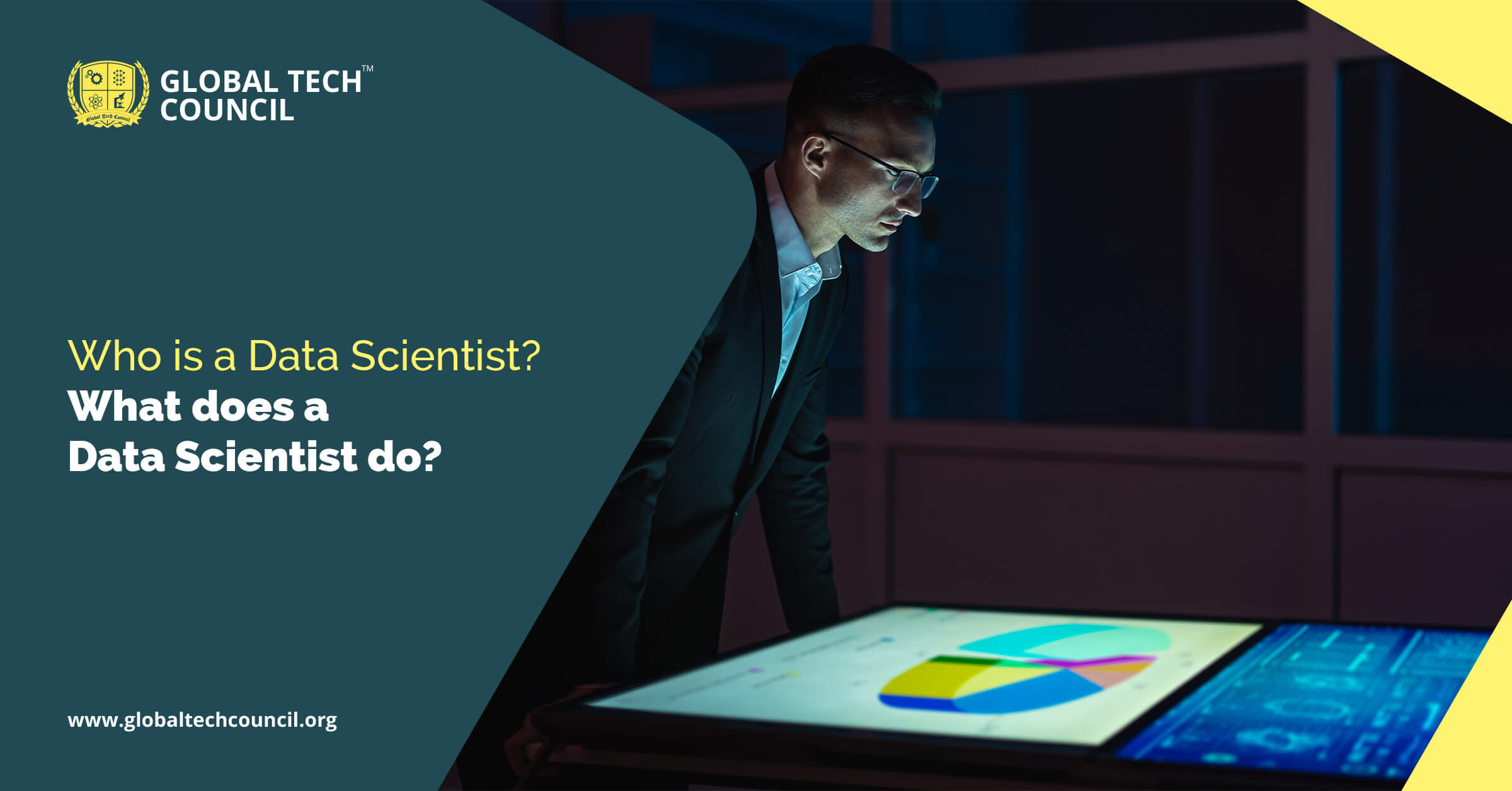 Who is a Data Scientist? What does a Data Scientist do?