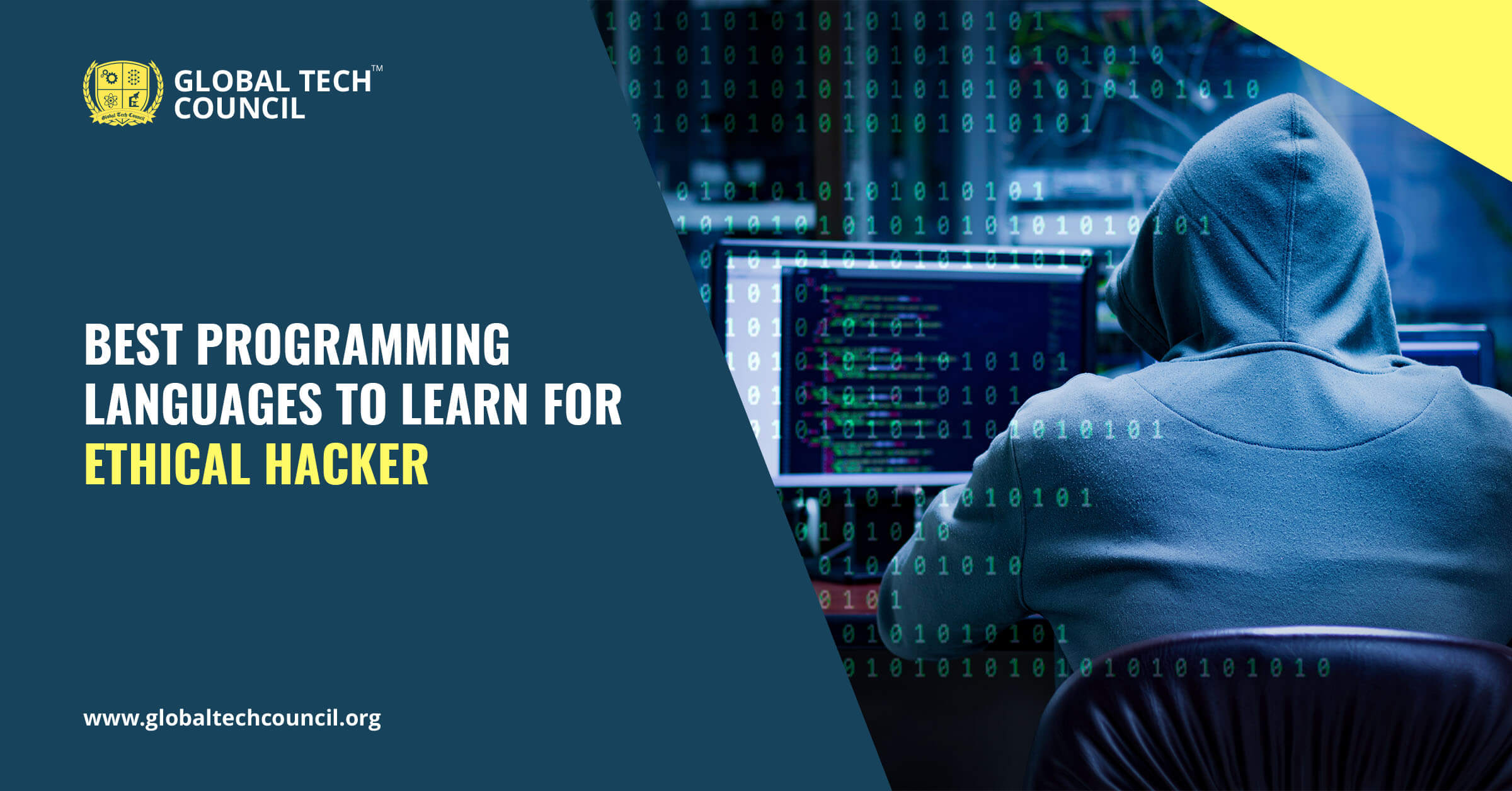 Best Programming languages to learn for Ethical Hacker