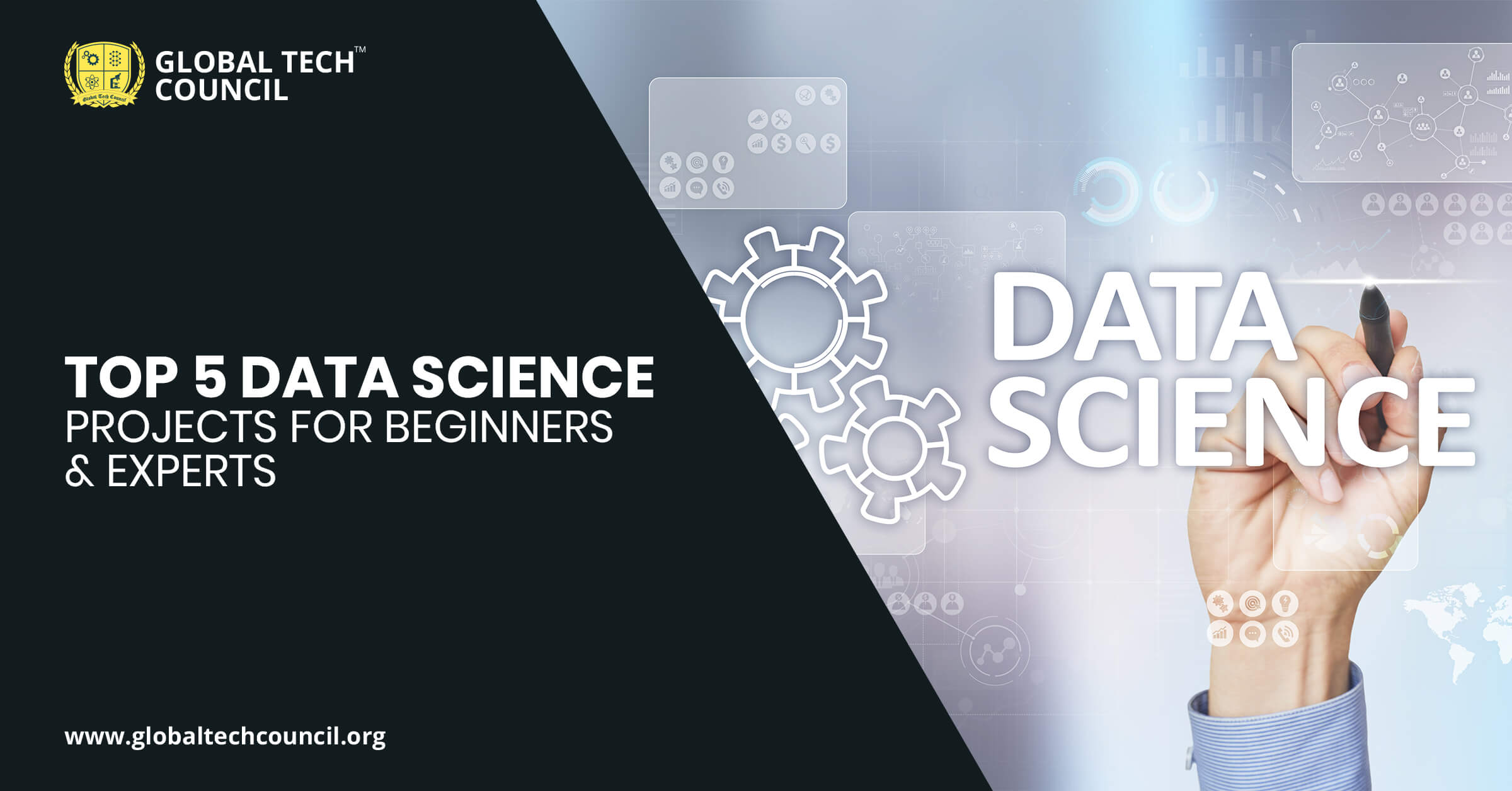 Top 5 Data Science Projects For Beginners & Experts