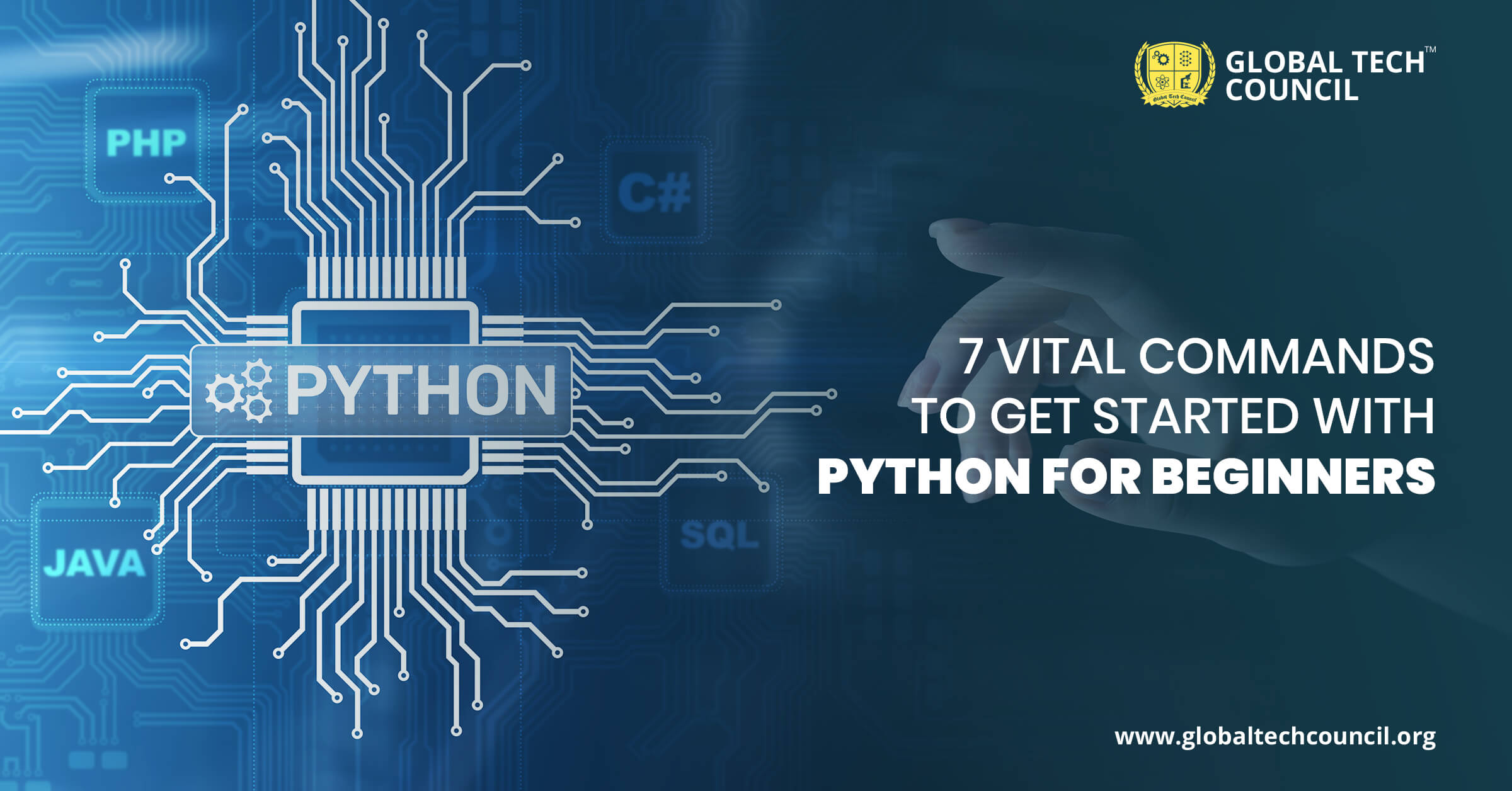 7 Vital Commands to Get Started With Python for Beginners