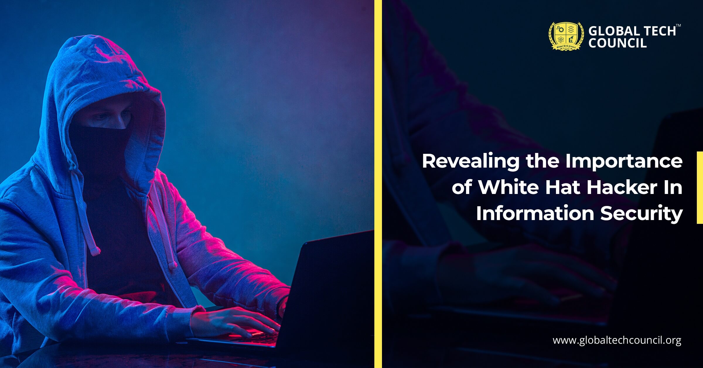 Revealing the Importance of White Hat Hacker In Information Security