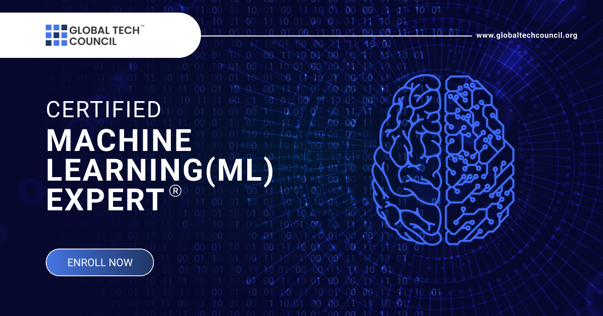 Machine Learning Expert ™